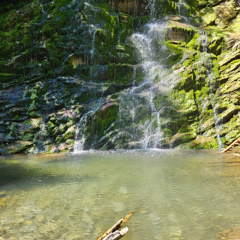 Nos vacances en&nbsp;Gaspésie